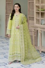 Luxury Cambric Suit