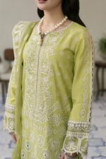 Qalamkar Luxury Cambric Suit - Image 3